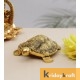 Metal Animal Figurine Tortoise feng-shui Big Antique Gold Plated